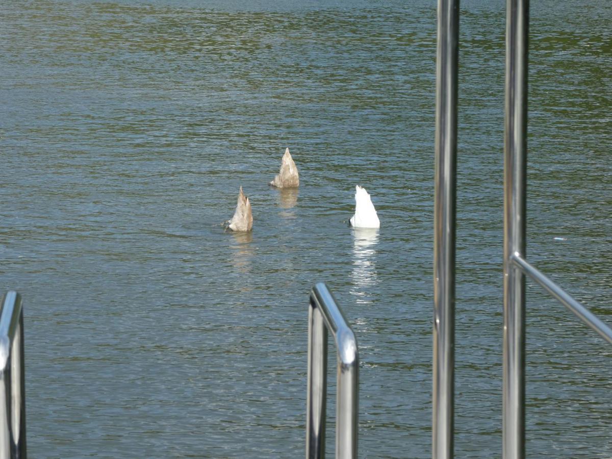 Hotel Hausboot Moselrose In Poelich Polich Esterno foto
